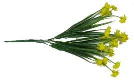 zolty-bukiet-jaskry-w-trawie-jaskier-h41
