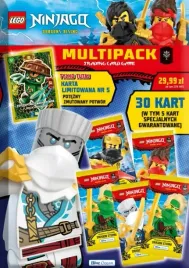 multipack-lego-ninjago-seria-11-dragon-storm-saszetki-karty