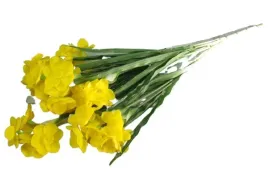 wielki-bukiet-zonkili-zonkil-zolty-wielkanoc-h65