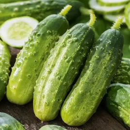 ogorek-gruntowy-soplica-f1-srednio-wczesny-ogorki-nasiona-ogorkow-plenne