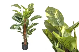 sztuczna-roslina-difenbachia-h90-decodomi