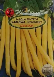 nasiona-fasola-zlota-saxa-01-g