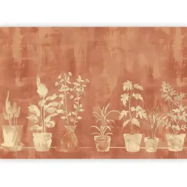 fototapeta-doniczki-rosliny-na-scianie-terracota-do-sypialni-salon-400x280