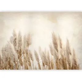 fototapeta-trawa-pampasowa-boho-natura-laka-tapeta-scienna-salon-3d-250x175