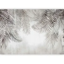 fototapeta-liscie-palmy-beton-piora-szare-tapeta-do-sypialni-boho-450x315
