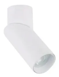 nowodvorski-oprawa-sufitowa-spot-india-wh-cg-1x-gu10-max-15w-7858