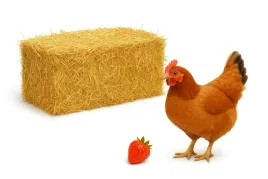 sloma-legowisko-sciolka-do-budy-dla-psa-krolik-kur-wysciolka-krzewy-10-kg