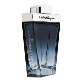 salvatore-ferragamo-subtil-pour-homme-edt-100ml