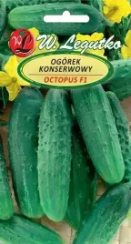 ogorek-octopus-odmiana-holenderska-odporna-nasiona-plenna-f1-1g