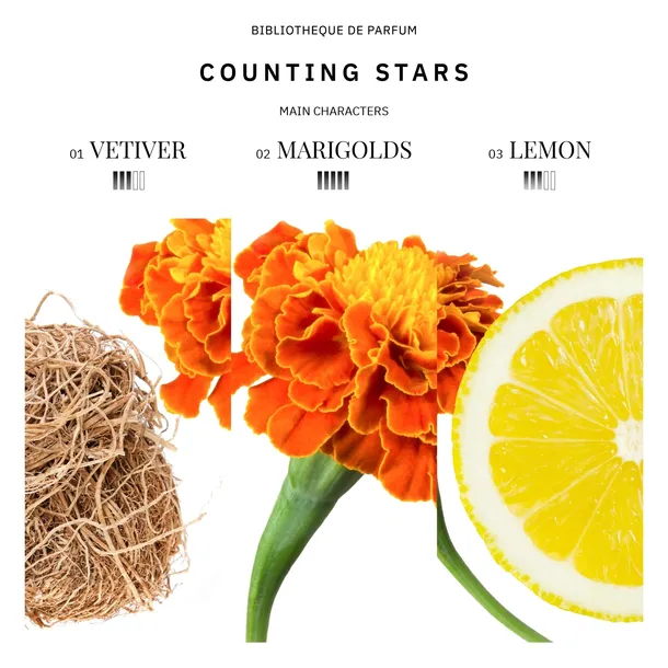bibliotheque-de-parfum-counting-stars-edp-100ml-marka-bibliotheque-de-parfum-stan-nowy