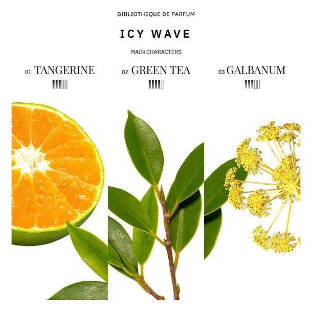 bibliotheque-de-parfum-icy-wave-edp-100ml-kod-producenta-4820271430339