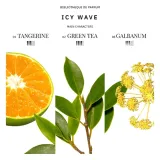 bibliotheque-de-parfum-icy-wave-edp-100ml-kod-producenta-4820271430339