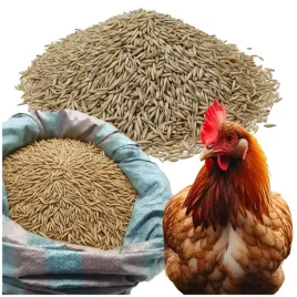 pasza-naturalna-5kg-mieszanka-zbozowa-ekologiczna-dla-drobiu-ptakow-golebi