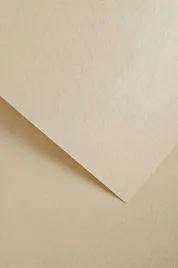 papier-karton-ozdobny-wizytowkowy-wood-jasnokremowy-20-arkuszy-220g