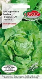 salata-maslowa-glowiasta-ewelina-05g-nasiona-plenna-do-uprawy-calorocznej