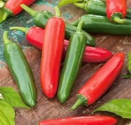 papryka-serrano-ostra-idealna-przyprawa-w-kuchni