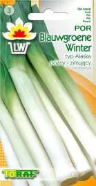 por-blauwgroene-winter-nasiona-1-g-pozny-do-przechowywania-zimuje-w-gruncie