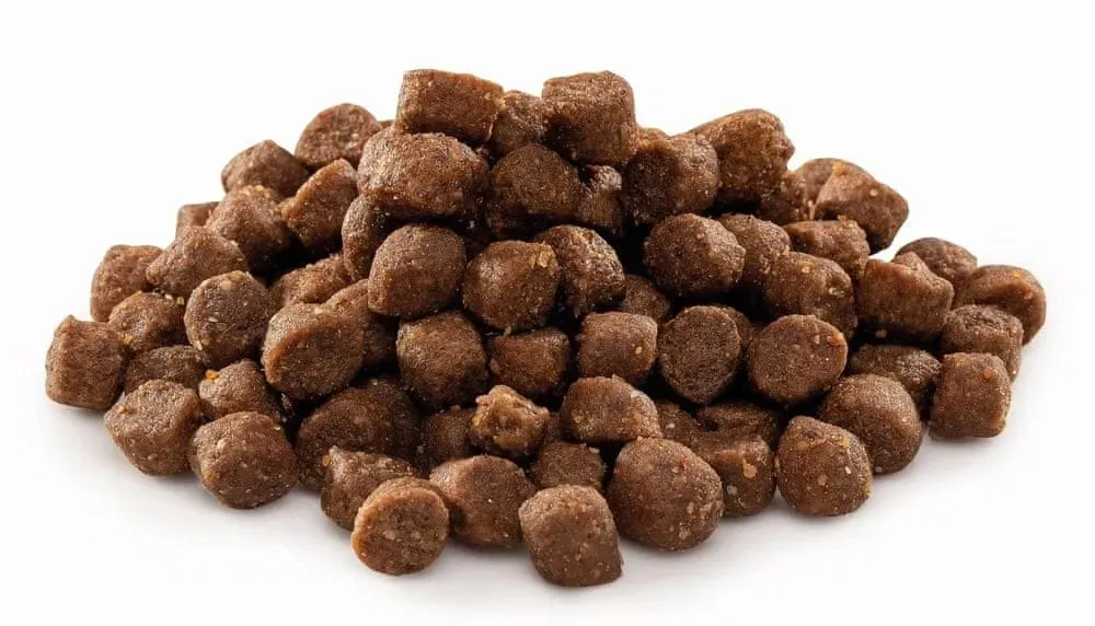 brit-premium-by-nature-s-junior-8kg-marka-brit
