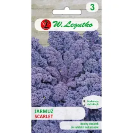 jarmuz-scarlet-odporny-na-niskie-temperatury-do-18-stopni-legutko