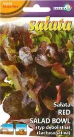 salata-red-salad-bowl-1g-debnolistna-brazowa-duze-glowy-dekoracyjna-nasiona