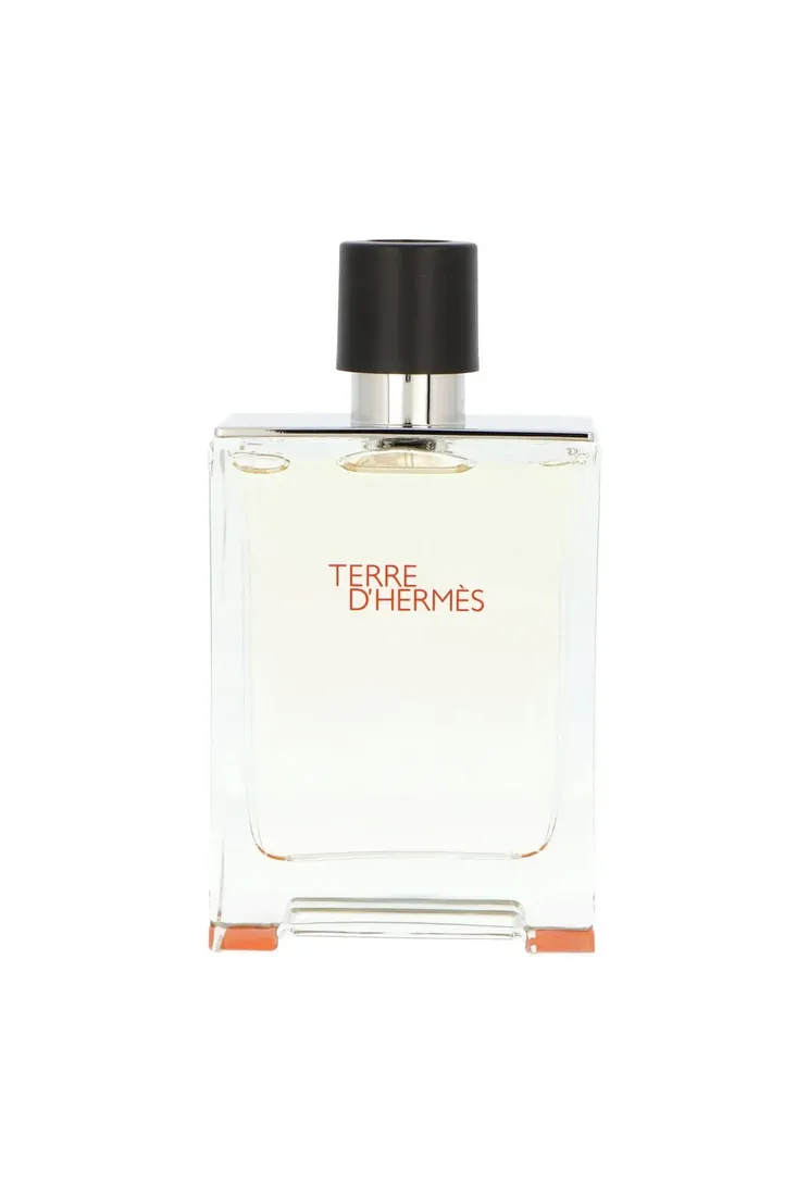 hermes-terre-dhermes-edt-100ml