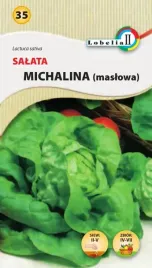 salata-maslowa-michalina-1g-nasion-wczesna-do-letniej-uprawy