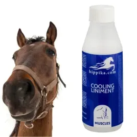 wcierka-chlodzaca-dla-koni-kojaca-mineralna-hippika-100ml