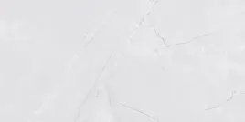 plytki-scienne-wall-venezia-light-grey-shiny-30x60-gat1