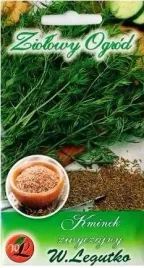 kminek-ziola-nasiona-dwuletni-aromatyczny-leczniczy-przyprawa-mrozoodporny