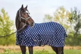 derka-siatkowa-przeciw-owadom-dla-konia-start-stars-bardzo-drobne-oczka-135