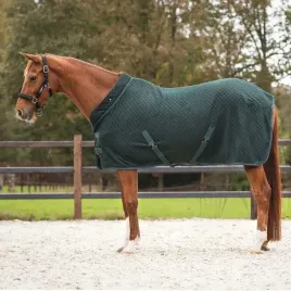 derka-polarowa-dla-konia-qhp-showrugavelie-aw24-ciemna-zielen-185