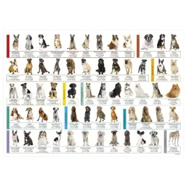 podkladka-na-biurko-rasy-psow-derform-49x34-cm