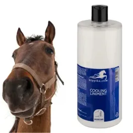 wcierka-chlodzaca-masc-dla-koni-hippika-regenerujaca-na-obrzeki-1000ml