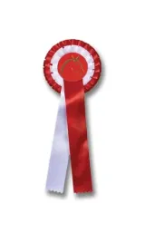 rozetka-waldhausen-prize-ribbon