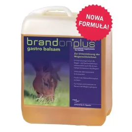 preparat-dla-koni-st-hippolyt-brandon-gastro-balsam-na-wrzody-25l