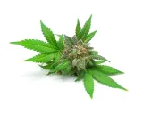 konopia-ziarno-equiherbs-doypack-1000g