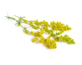 przytulia-wlasciwa-equiherbs-ziele-500g