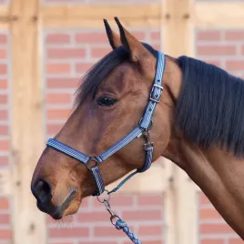 kantar-dla-konia-busse-smooth-soft-podwojnie-wyscielany-granatowy-pony