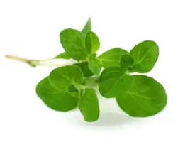 majeranek-dla-koni-equiherbs-przeciwgrzybiczy-na-stany-zapalne-1000g