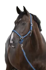 kantar-dla-konia-covalliero-hippo-tasmowy-granatowy-niebieski-pony