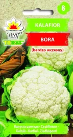 kalafior-bardzo-wczesny-bora-nasiona-1g-toraf-odporny-na-choroby