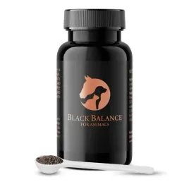 suplement-na-wrzody-black-stuff-blackbalanceproszek-30g