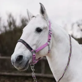 zestaw-kantar-dla-konia-i-uwiaz-horze-graffiti-25ss-rozowy-pony