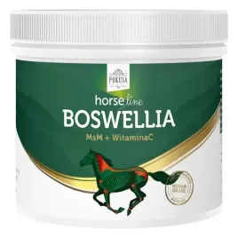 suplement-na-stawy-horse-line-boswellia-msm-500g