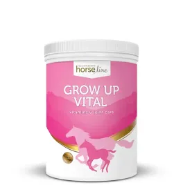 witaminy-i-mineraly-dla-zrebiat-horse-line-2000g