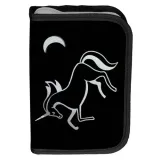 piornik-paso-jednorozec-holo