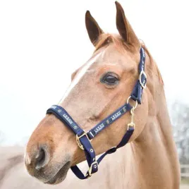kantar-dla-konia-horze-hampton-podszywany-neoprenem-granatowy-cob