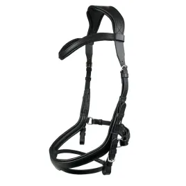 oglowie-york-idalia-anatomiczny-2-cob