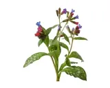 miodunka-equiherbs-500g