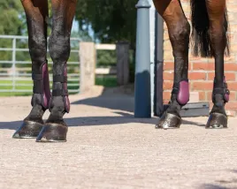 ochraniacze-dla-konia-qhp-tendon-komplet-na-kolki-bordowe-full